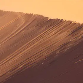 Coral Pink Sand Dunes