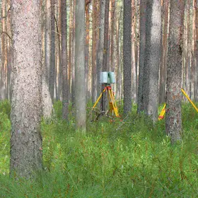 Secret inhabitants of the forest