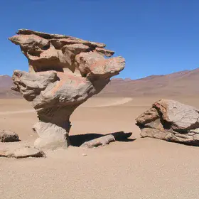 Árbol de Piedra