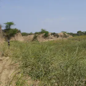 Turning badlands into fields
