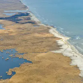 Beautiful images from Danube Delta