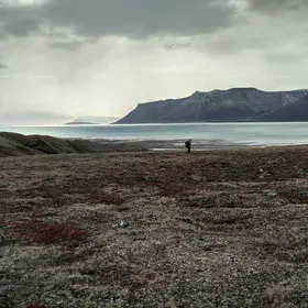 Moody day hike in Young Sound, Greenland