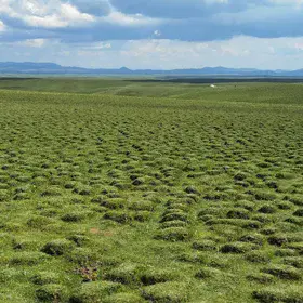 Meiren Grassland in Gannan Tibetan Autonomous Prefecture