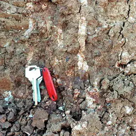 Calcium carbonate concretion occupying the void of an old root