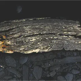 Pyritised brachiopod shell from Aseri phosphorite deposit