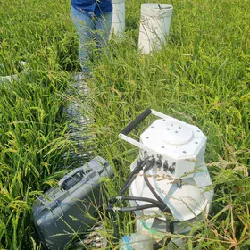 Greennhouse gas sampling in a rice crop in Australia