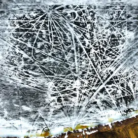 Ghost Tracks of the North: A Spring Unveiling