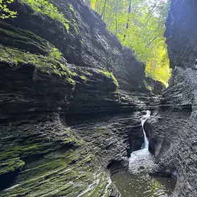 Nature’s masterpiece carved in time
